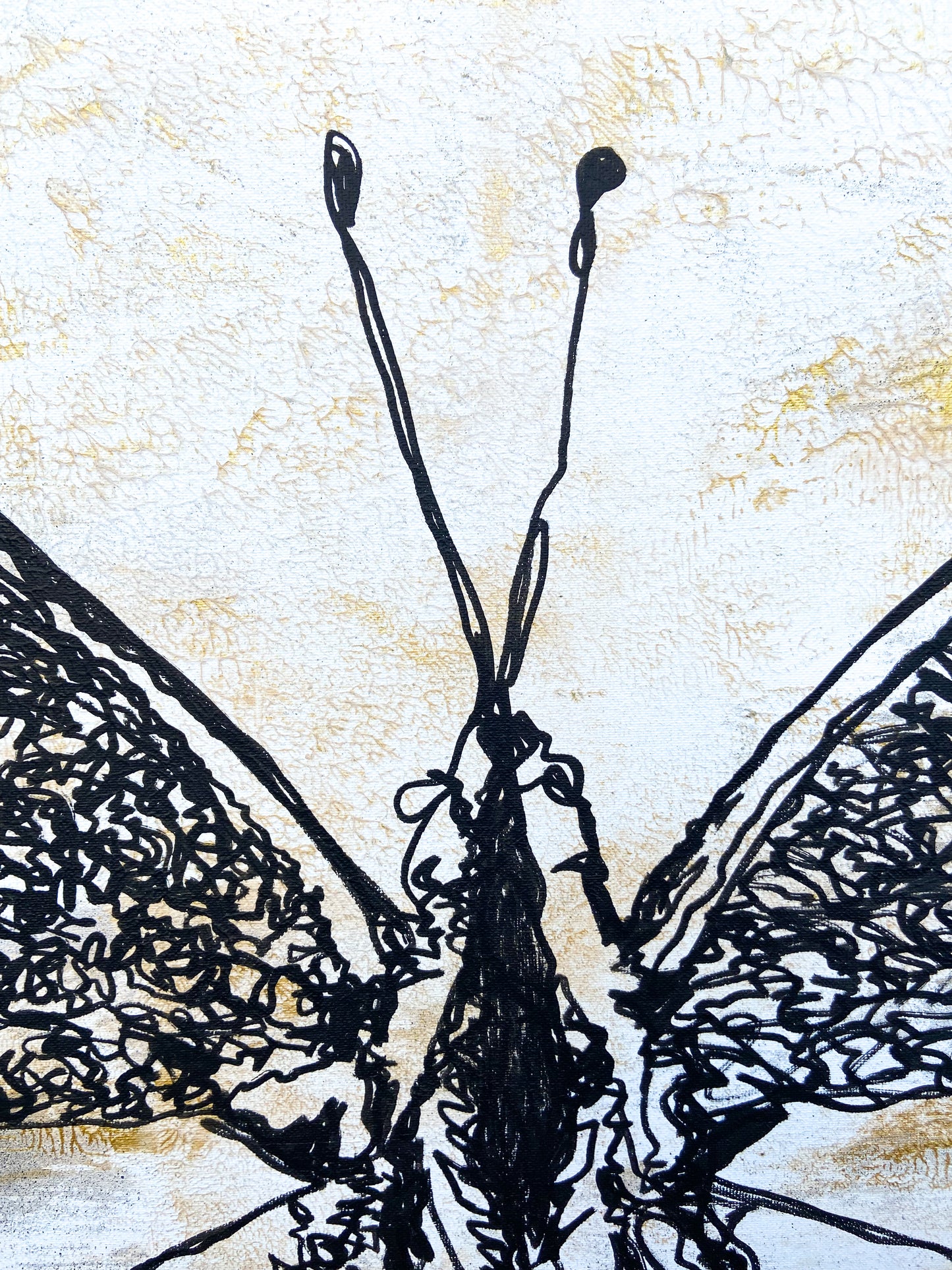 Schmetterling
