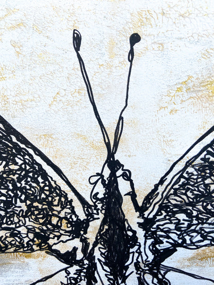 Schmetterling